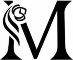 Perfumes Montage Brands